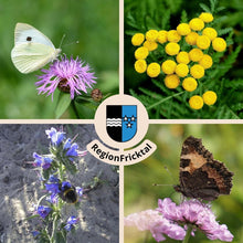 Lade das Bild in den Galerie-Viewer, Blumenmeer im Fricktal - das Wildstauden-Set für eine natürliche und nachhaltige Umgebung