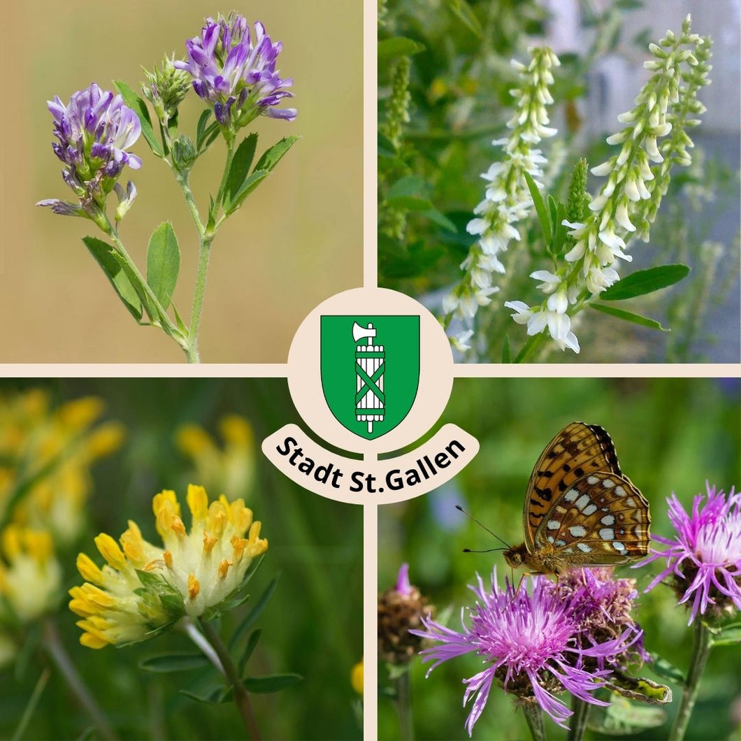 Gartenidylle St. Gallen - Wildstauden-Set für Wildbienen und Schmetterlinge