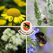 Lade das Bild in den Galerie-Viewer, Berner Oberland Bienenparadies - Wildstauden-Set für mehr Artenvielfalt
